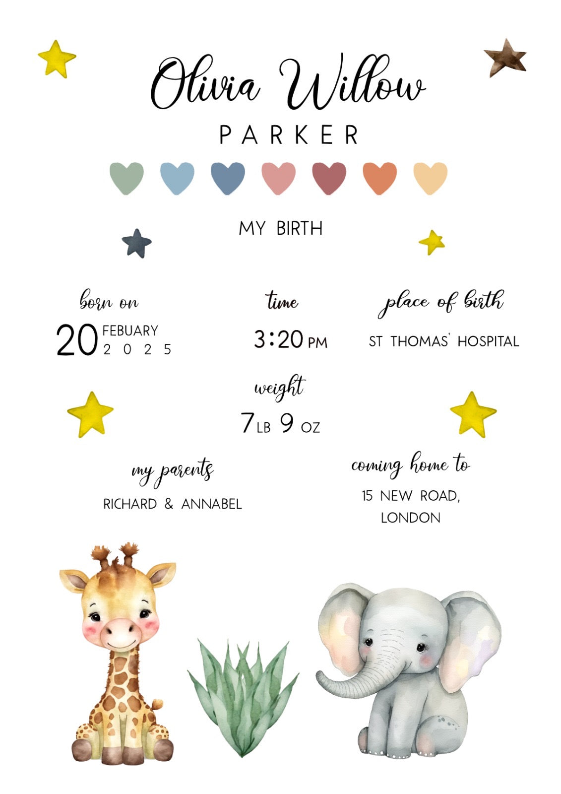 Personalised Baby Prints - Birth Details